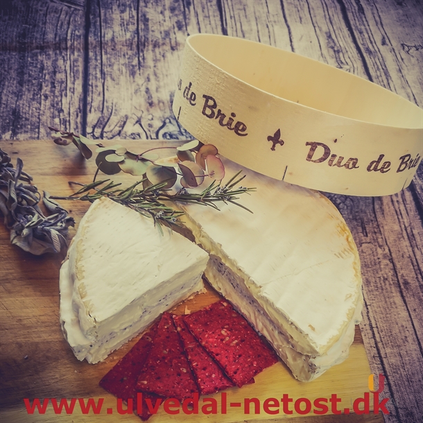 Duo Brie Trøffel 200g STK